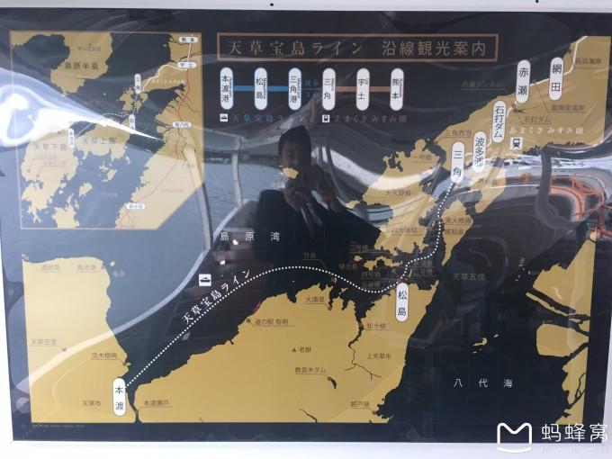狐狸的旅程