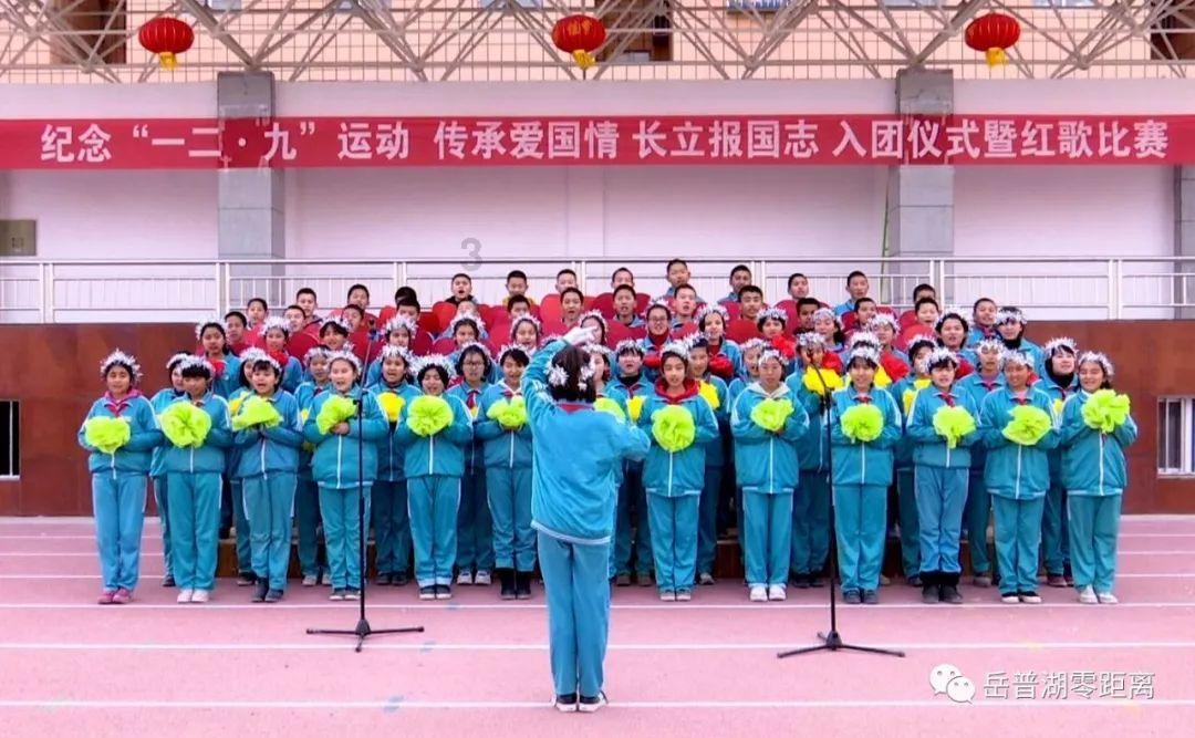 逃离棕榈树森林